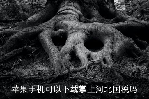 河北掌上國稅如何注冊，蘋果手機可以下載掌上河北國稅嗎