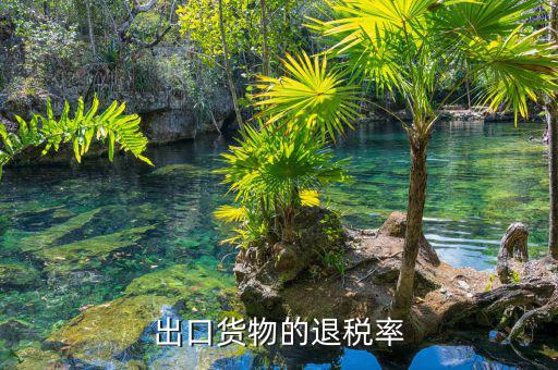 如何查詢產(chǎn)品的退稅率，產(chǎn)品的出口退稅率要怎么查詢