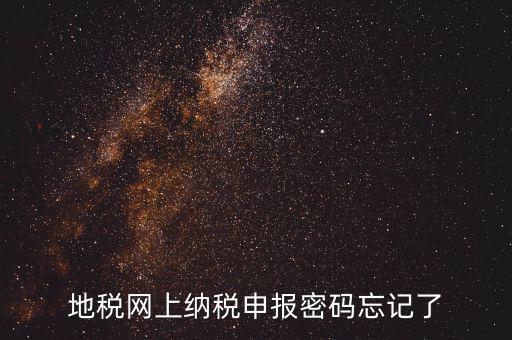 網(wǎng)報如何復(fù)制密碼，地稅網(wǎng)上納稅申報密碼忘記了