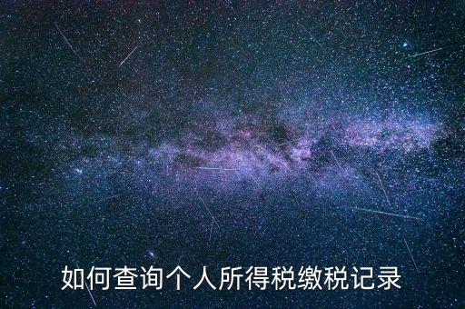 上海地稅局如何查個(gè)人所得稅繳稅記錄，上海市工資個(gè)稅繳納記錄如何查詢