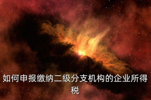 分支機構企業(yè)所得稅如何申報，如何申報繳納二級分支機構的企業(yè)所得稅