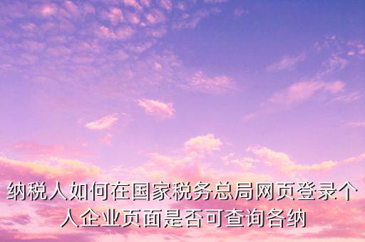 納稅人如何在國(guó)家稅務(wù)總局網(wǎng)頁登錄個(gè)人企業(yè)頁面是否可查詢各納