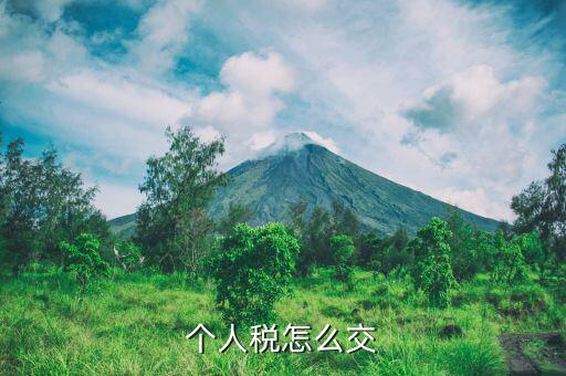 自然人個稅如何上稅，個人所得稅是怎么個交法