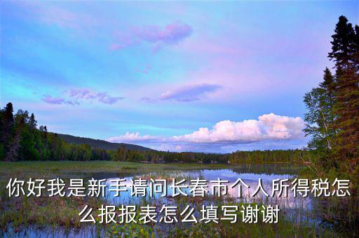 長(zhǎng)春國(guó)稅如何報(bào)稅，長(zhǎng)春市地稅申報(bào)