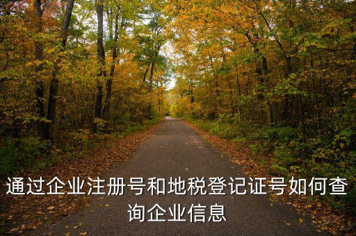 山東 如何查企業(yè)稅務(wù)信息，通過(guò)企業(yè)注冊(cè)號(hào)和地稅登記證號(hào)如何查詢(xún)企業(yè)信息