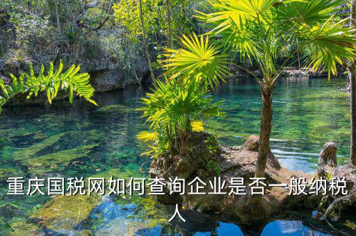 如何在國稅網(wǎng)查是否一般納稅人，怎么在網(wǎng)上查一個單位是不是一般納稅人