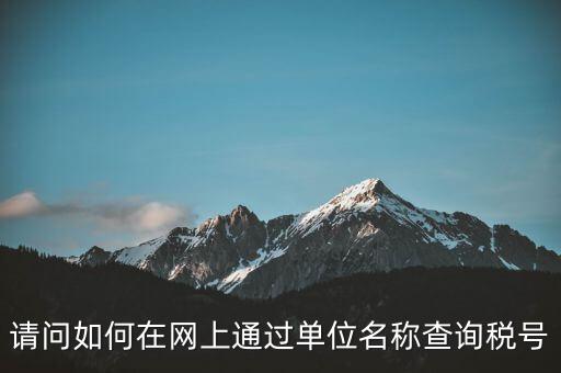 稅號如何查詢網(wǎng)站，怎么在網(wǎng)上查企業(yè)稅號