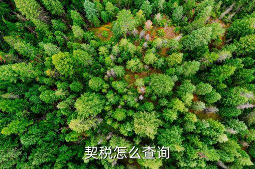 如何查詢契稅繳稅時(shí)間，契稅怎么查詢