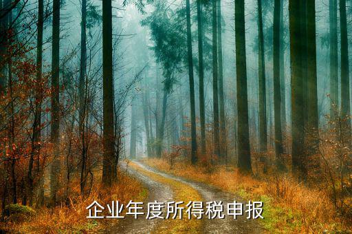 如何申報年度企業(yè)所得稅，年度企業(yè)所得稅怎么報啊