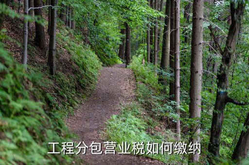 分包工程如何繳稅，分包工程如何繳稅