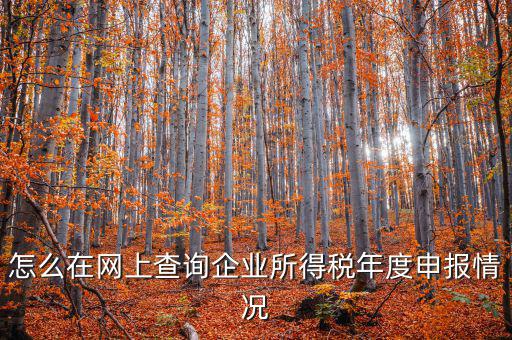 企業(yè)稅務(wù)信息如何查詢系統(tǒng)，通過(guò)企業(yè)注冊(cè)號(hào)和地稅登記證號(hào)如何查詢企業(yè)信息