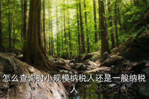 如何查詢成為納稅人時(shí)間，怎么查詢時(shí)小規(guī)模納稅人還是一般納稅人