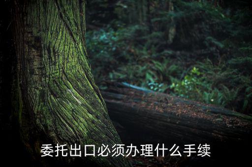 如何開(kāi)具代理出口貨物證明，代理公司在當(dāng)?shù)亻_(kāi)具代理出口貨物證明 請(qǐng)問(wèn)我公司如何