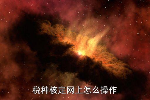 如何稅局網(wǎng)站上開通稅種，稅種認定在電子稅務局怎么操作