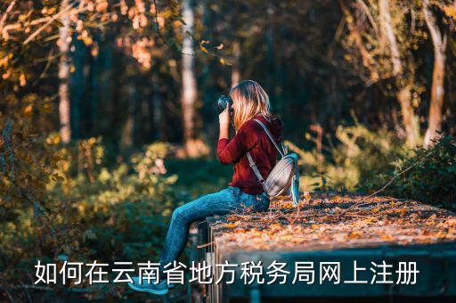 如何進(jìn)入云南稅務(wù)系統(tǒng)上報(bào)稅，如何在云南省地方稅務(wù)局網(wǎng)上注冊(cè)