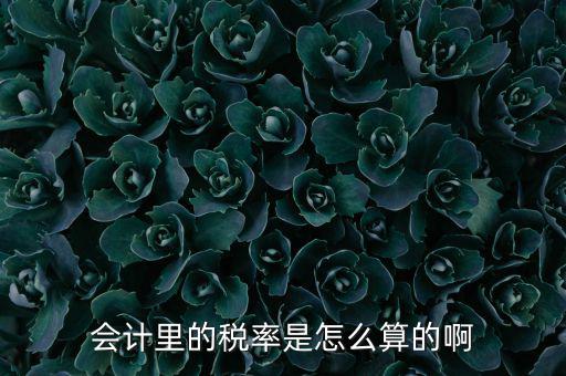 簡(jiǎn)易征收稅率如何計(jì)算方法，增值稅簡(jiǎn)易計(jì)稅方法計(jì)算公式是什么 會(huì)計(jì)問(wèn)答網(wǎng)