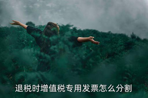 申報退稅如何分批，同一個退稅申報期內可以申報2個批次嗎
