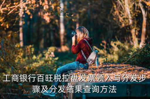 如何把百旺稅控盤，一個單位有兩個百旺的稅控盤是怎么領(lǐng)發(fā)票
