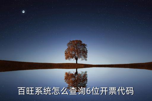 如何獲取開票代碼，增值稅專用發(fā)票開票時(shí)輸開票碼是怎么操作