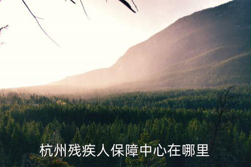 杭州市殘保證如何申請，杭州殘疾人保障中心在哪里