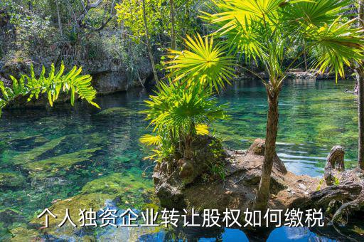 個(gè)人股權(quán)轉(zhuǎn)讓如何繳稅，轉(zhuǎn)讓股權(quán)個(gè)人所得稅怎么交