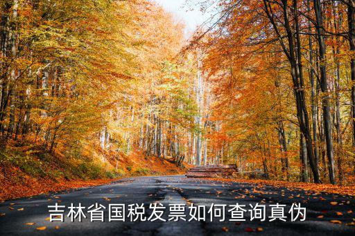 吉林如何查發(fā)票真?zhèn)尾樵?，吉林省國稅發(fā)票如何查詢真?zhèn)?/></a></span><span id=