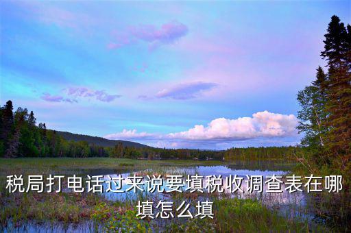 涉稅事項調(diào)查表如何填寫，09全國稅收調(diào)查表如何填寫