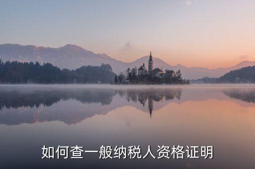 如何查一般納稅人資格，如何查一般納稅人資格證明