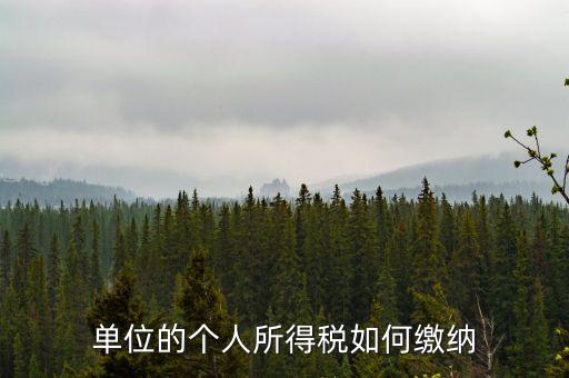 企業(yè)個人所得稅如何繳納，私營企業(yè)職工個人所得稅如何繳納