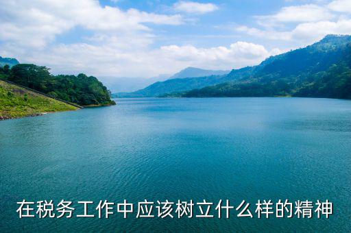稅務干部如何踐行 安精神，在稅務工作中應該樹立什么樣的精神