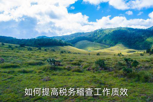 如何提高國稅稽查工作質(zhì)效，如何提高稅務稽查工作質(zhì)效