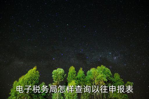 如何查詢國稅申報，如何查詢個人所得稅申報明細情況