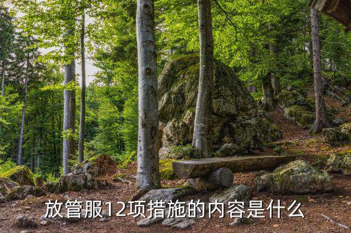 在放管服中如何加強(qiáng)審計(jì)稽察，放管服12項(xiàng)措施的內(nèi)容是什么