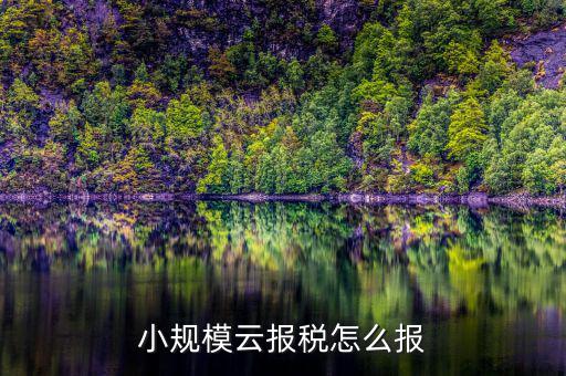 如何在云辦稅廳報稅，小規(guī)模云報稅怎么報