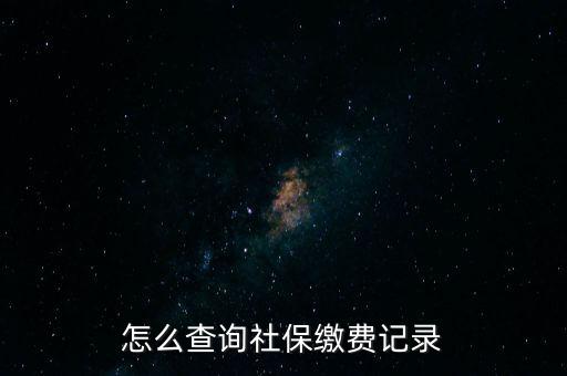 如何在地稅網(wǎng)繳納社保查詢，單位交了社保費(fèi)在地稅網(wǎng)怎么查詢