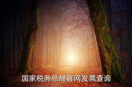江蘇國稅如何查詢發(fā)票，江蘇發(fā)票真?zhèn)尾樵內(nèi)绾尾樵兘K發(fā)票真?zhèn)尾樵內(nèi)绾尾樵冏钪匾氖沁M