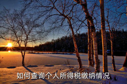 如何查詢自己交稅情況，個(gè)人繳稅記錄怎么查詢