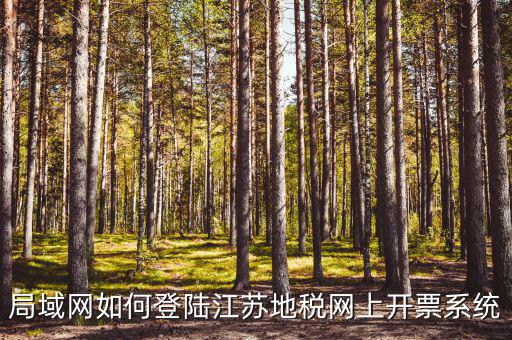 江蘇地稅局個人如何登陸注冊，地稅網上打印報表提示沒有注冊要怎么注冊呢