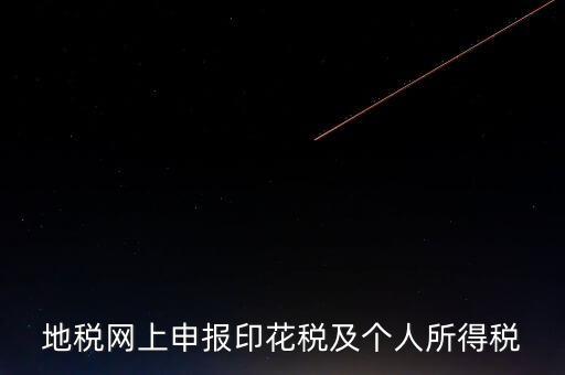 地稅網(wǎng)上申報(bào)印花稅及個人所得稅