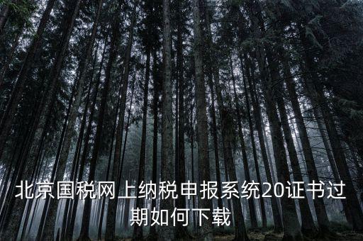 北京國稅網(wǎng)站如何更新，如何在國稅網(wǎng)上更新公司的信息