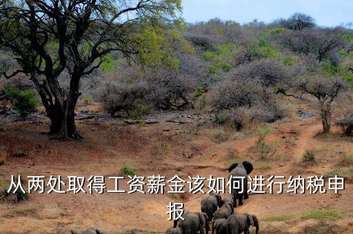 多出取得工資 如何申報(bào)個(gè)稅，個(gè)人多處取得所得如何申報(bào)繳納個(gè)稅