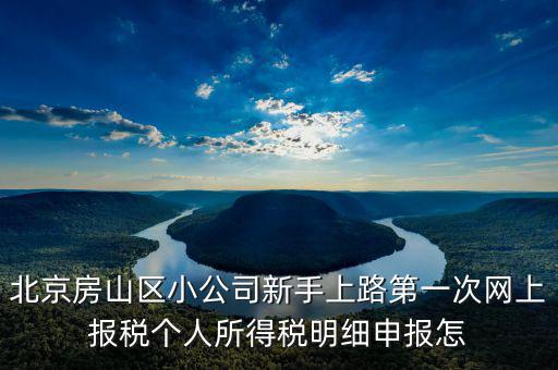 北京市網(wǎng)上稅務(wù)局如何報稅，北京稅務(wù)局網(wǎng)上報到怎么操作