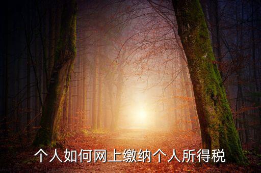 個人如何網上繳納個人所得稅