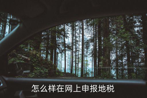 地稅網(wǎng)站如何注冊(cè)，地稅網(wǎng)上申報(bào)注冊(cè)怎么操作