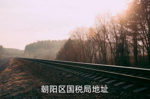 如何查詢所屬朝陽區(qū)哪家稅局，如何查詢自己所屬北京市朝陽區(qū)哪家稅務(wù)所