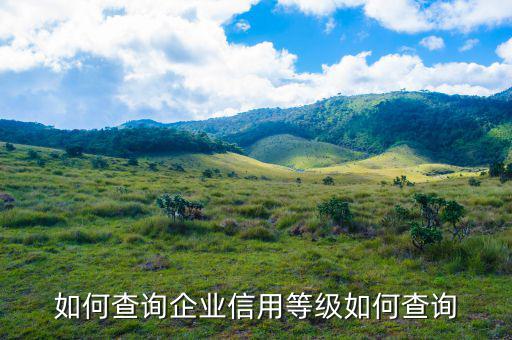 如何查詢企業(yè)是否a級，如何查詢企業(yè)信用等級如何查詢