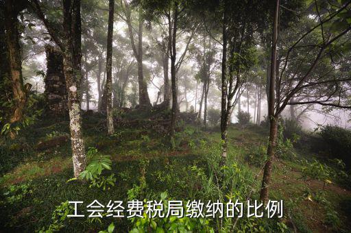 稅局代收的工會經(jīng)費(fèi)應(yīng)如何交納，稅務(wù)局代收的工會經(jīng)費(fèi)怎么交