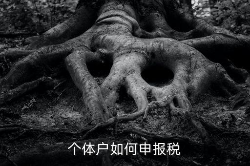 個(gè)體工商戶稅如何申報(bào)，個(gè)體工商戶個(gè)稅怎么報(bào)