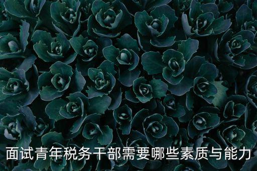 稅務(wù)年輕干部如何培養(yǎng)，面試青年稅務(wù)干部需要哪些素質(zhì)與能力