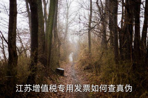 江蘇國(guó)稅電子發(fā)票如何查驗(yàn)真?zhèn)?，江蘇增值稅專用發(fā)票如何查真?zhèn)?/></a></span><span id=